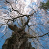201004170186[2]