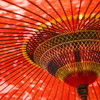 201005020292[1]
