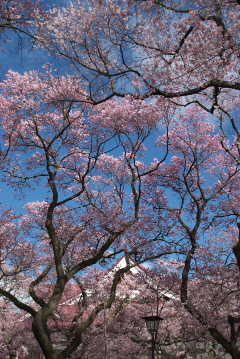 201004100354[1]