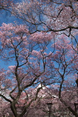 201004100354[1]