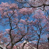 201004100354[1]