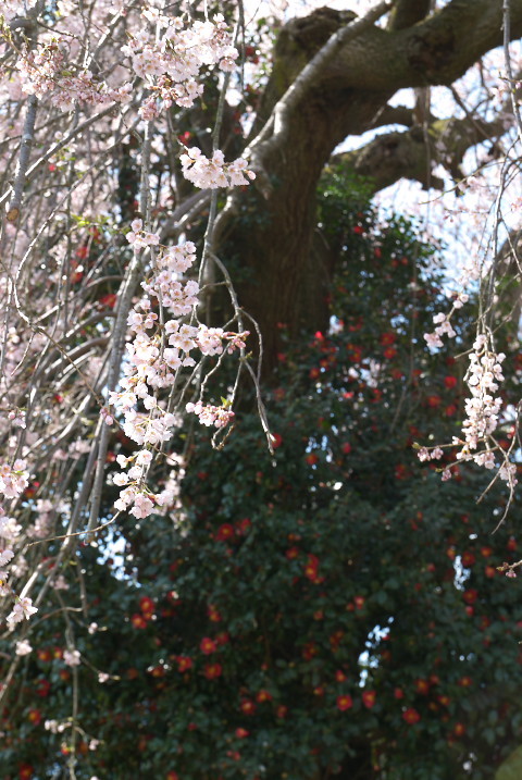 201004030149[1]