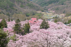 201004100283s[2]