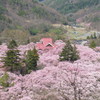 201004100283s[2]