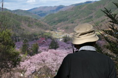 201004100292s[1]