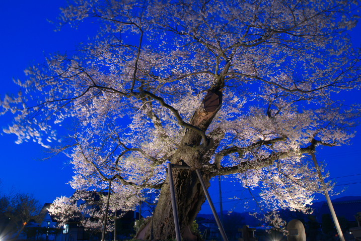 201004240359[1]