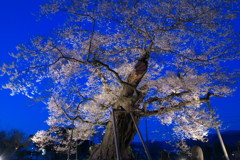201004240359[1]