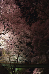 2009_04120172-d80[1]