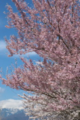 201004100065[1]