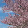 201004100065[1]