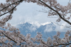201004110178s[1]