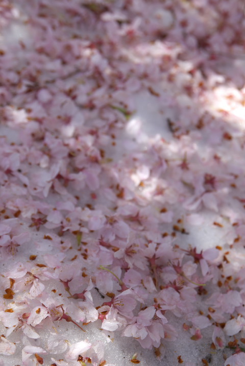 201004170127[2]