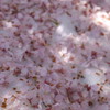 201004170127[2]