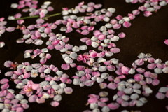 201004240229[1]