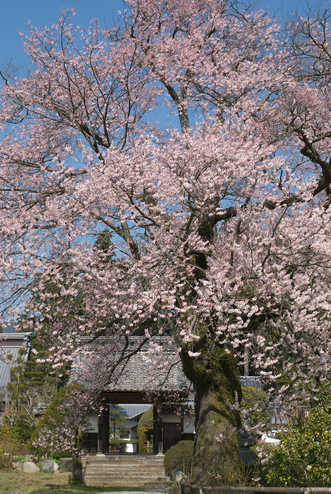 201004030057s[1]