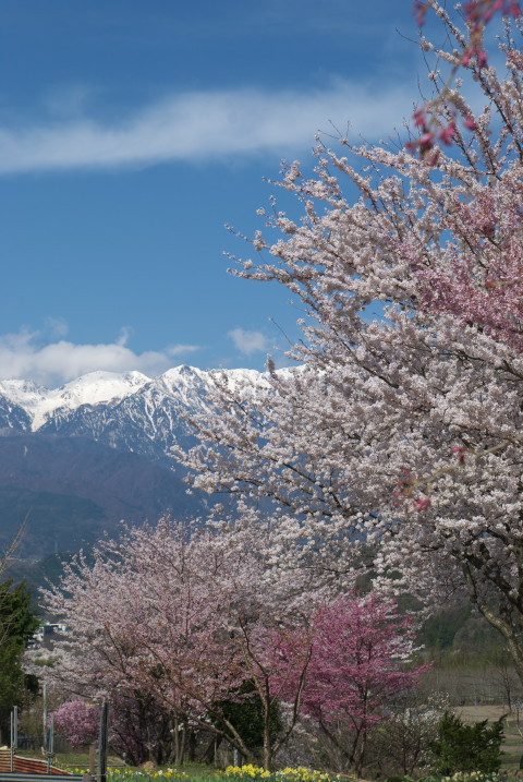201004100058[1]