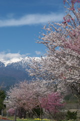 201004100058[1]