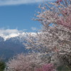 201004100058[1]