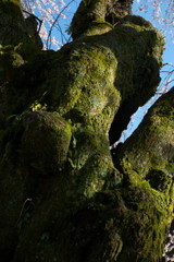 201004170459[1]
