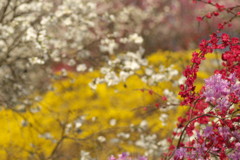 201004240224[2]