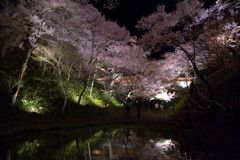 201004140052[3]
