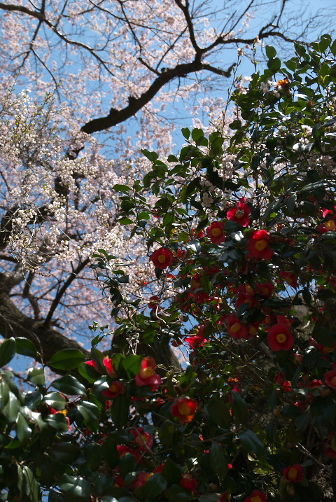 201004030106[1]