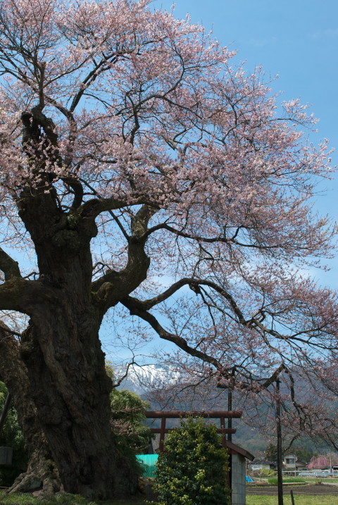 201004180076[2]