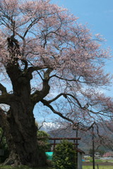 201004180076[2]