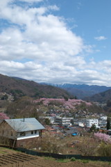 201004100264[1]