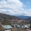 201004100264[1]
