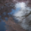 201004100375s[1]