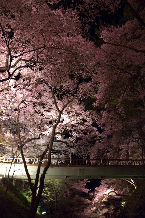 201004140043[3]