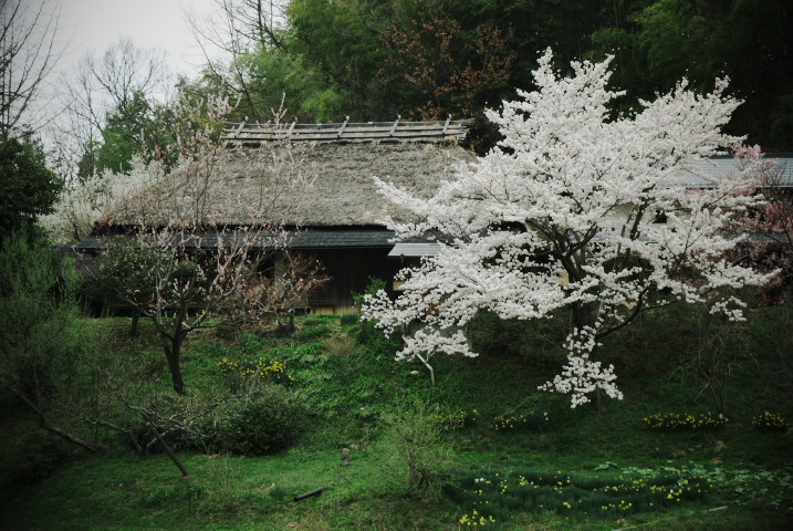 201004110077[2]