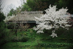 201004110077[2]