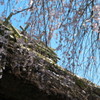 201004170176[1]
