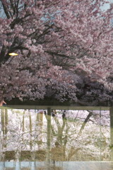 201004100338[1]