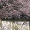 201004100338[1]