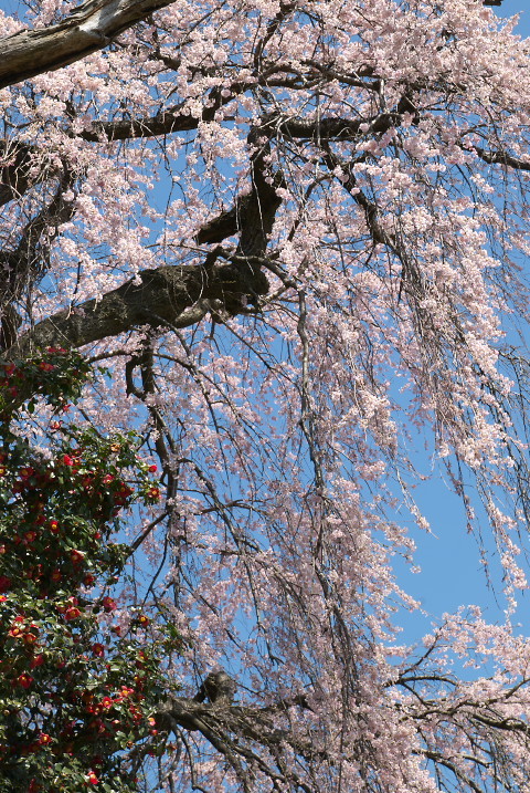201004030097[2]