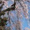 201004030097[2]