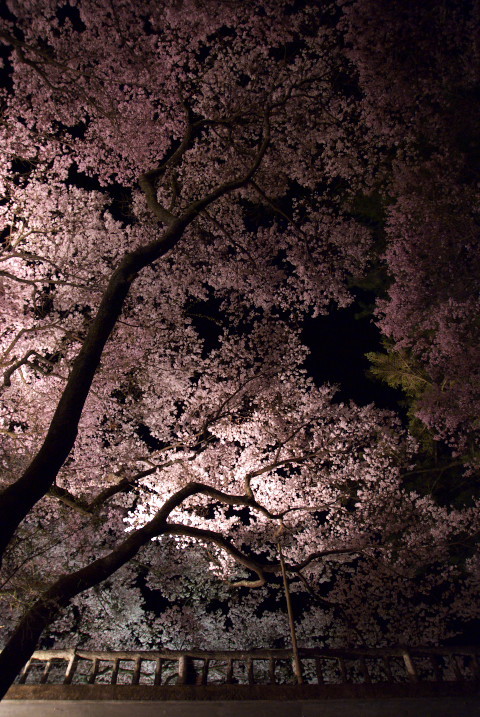 201004140045[1]