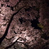 201004140045[1]