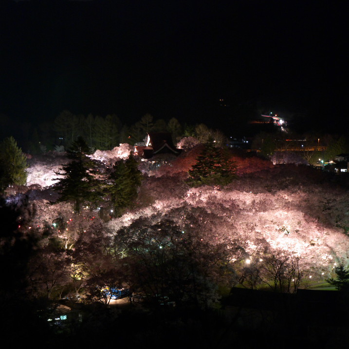 201004140015-2s[1]