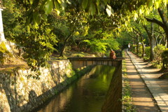 201005020368[1]