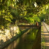 201005020368[1]