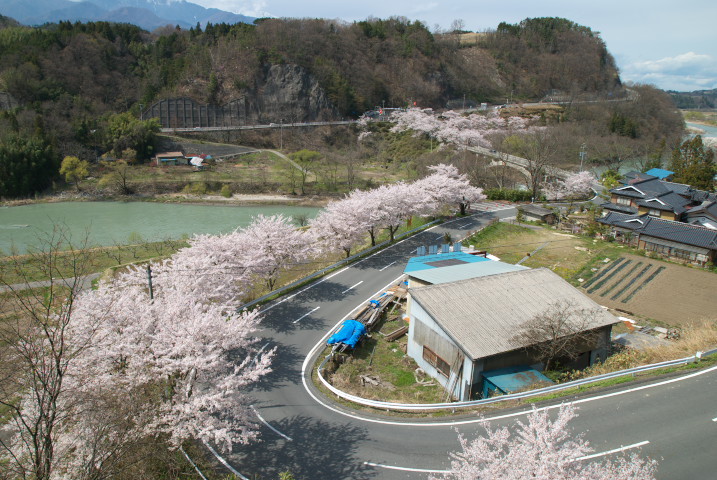 201004110206[1]