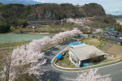 201004110206[1]