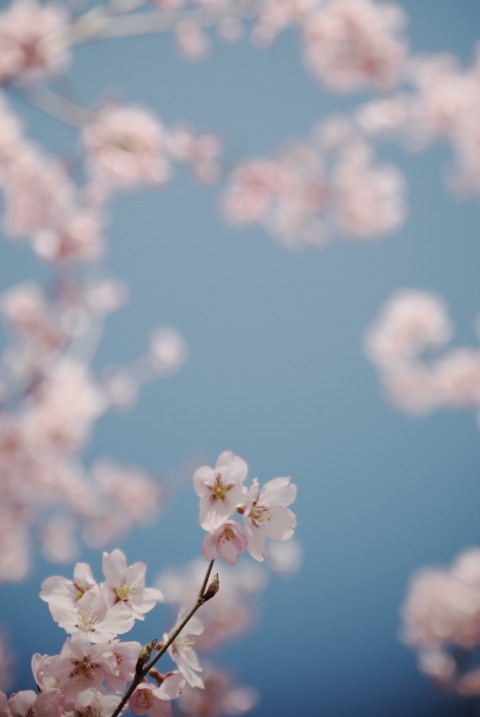 201004030450s[1]