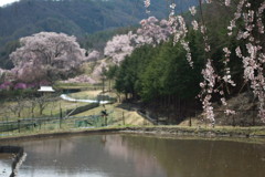 201004180015[2]