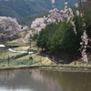 201004180015[2]