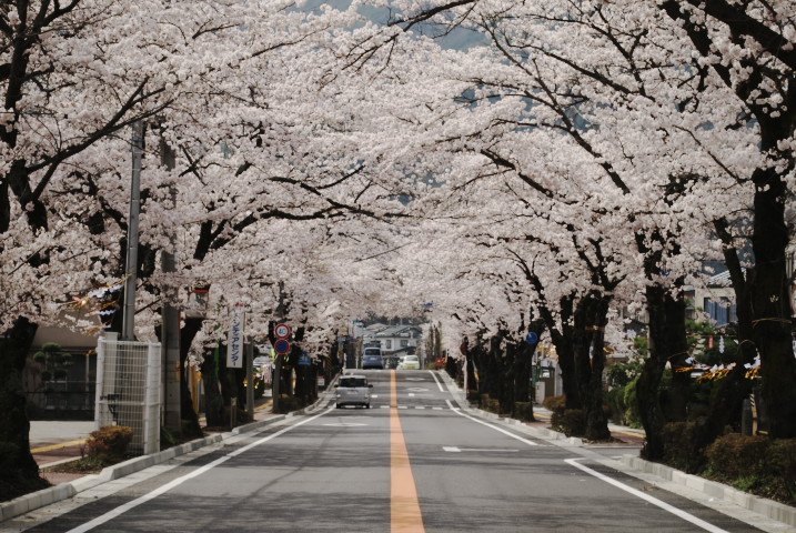 201004180208n[1]